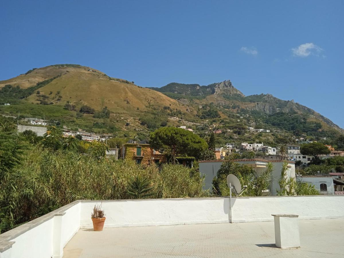 Villa Thomas Bb Conduzione Familiare Forio di Ischia Zewnętrze zdjęcie
