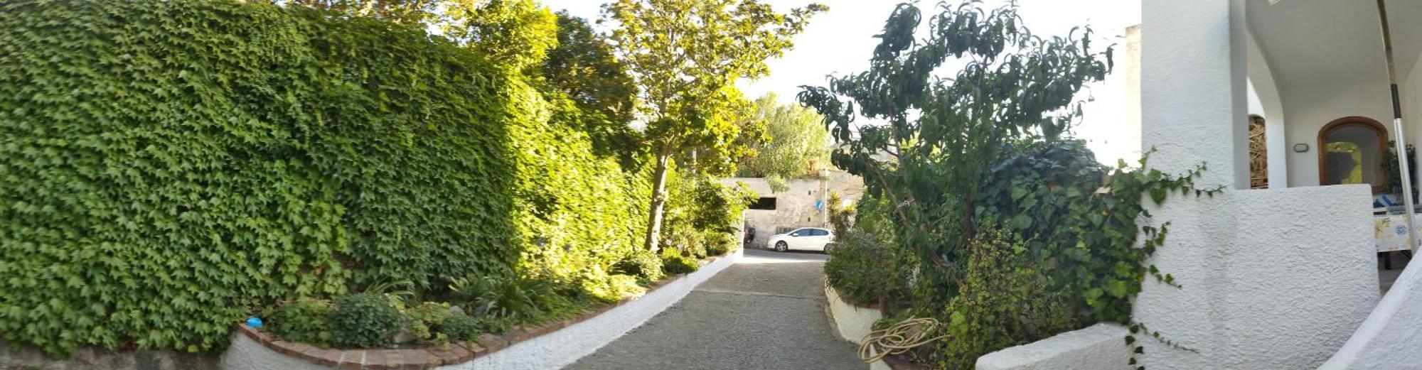 Villa Thomas Bb Conduzione Familiare Forio di Ischia Zewnętrze zdjęcie
