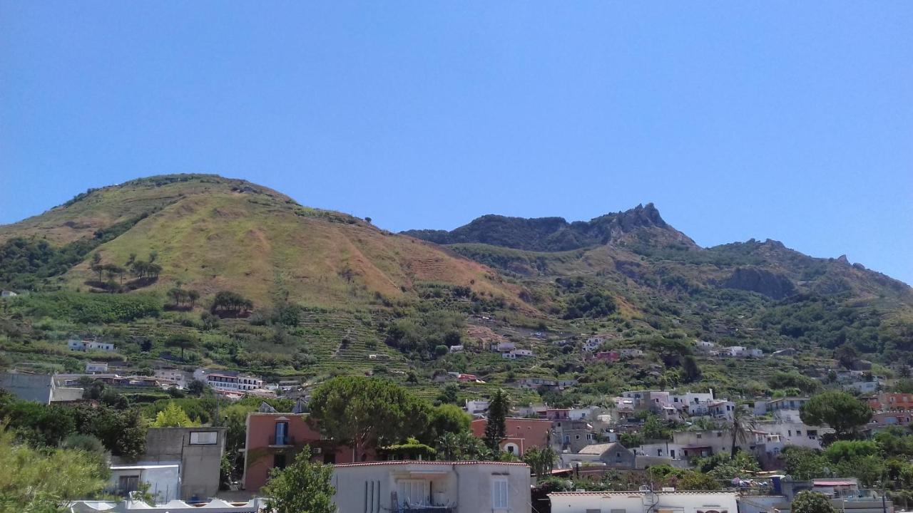 Villa Thomas Bb Conduzione Familiare Forio di Ischia Zewnętrze zdjęcie