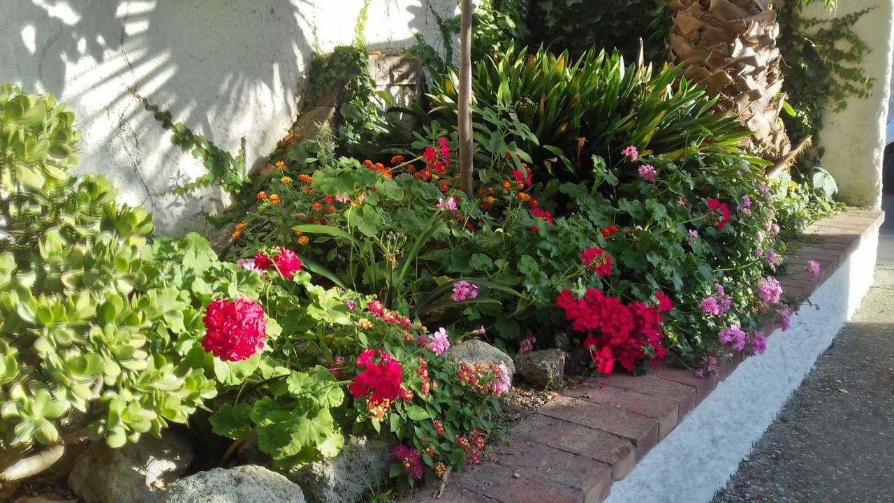 Villa Thomas Bb Conduzione Familiare Forio di Ischia Zewnętrze zdjęcie